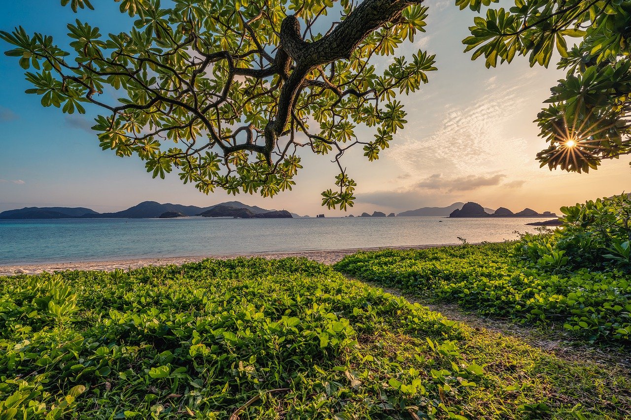 sunset, sand, beach-7133867.jpg